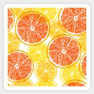 Orange, Grapefruit transparent slices seamless pattern. Summer colorful citrus. Translucent tropical fruits Sticker